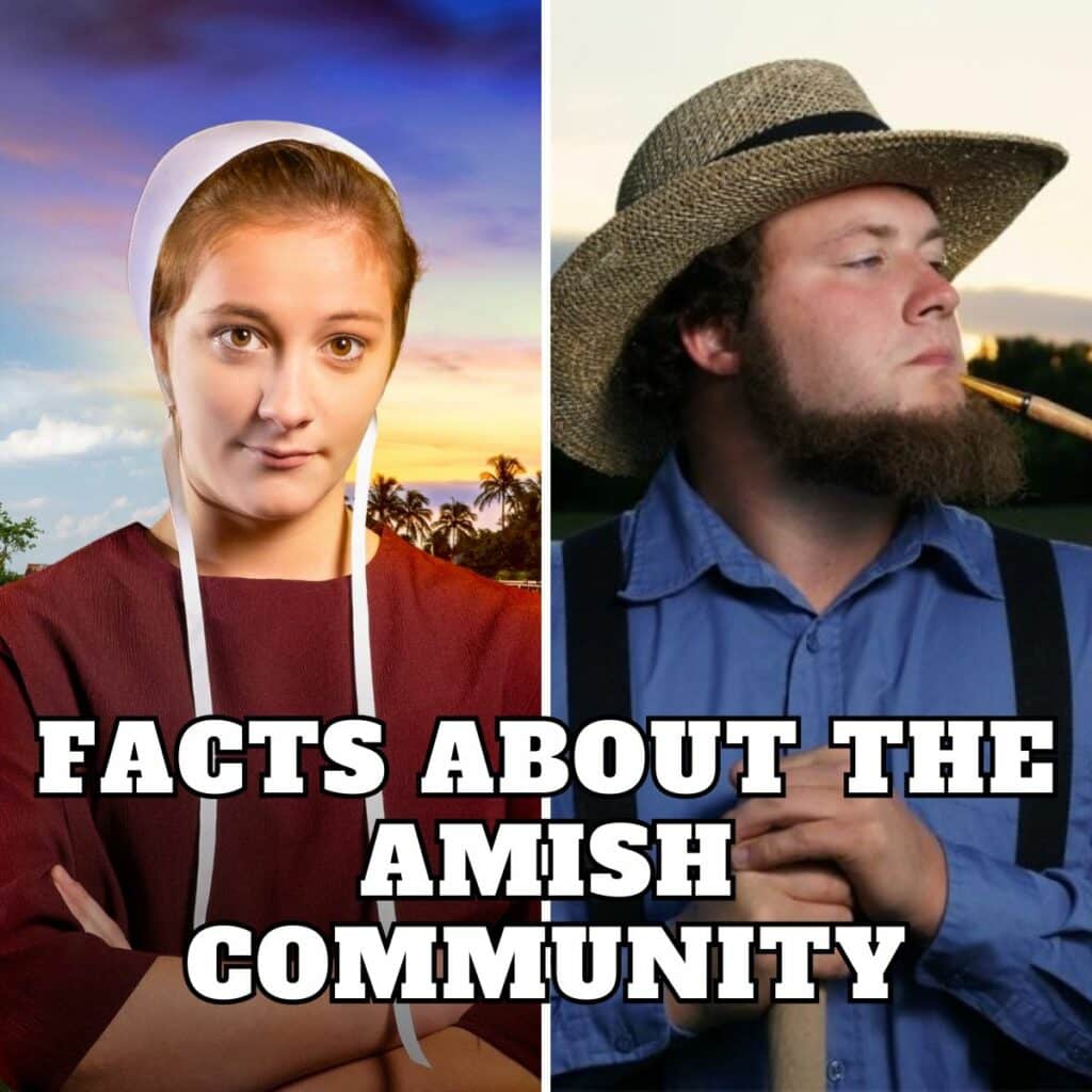 Intriguing Facts That Give Us a Rare Glimpse Into the Amish Way of Life